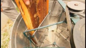 Галилео. Медовуха