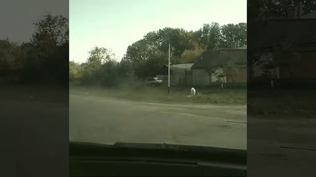 Въезд в с. Тепловка со стороны Новых Бурас смотреть онлайн