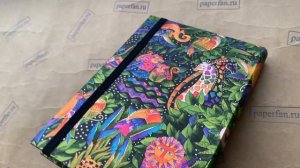 Обзор Ежедневник 2024 Paperblanks Jungle Song (Песня Джунглей)