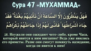Сура 47 Мухаммад (арабские и русские титры) - Мухаммад Люхайдан
