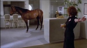 лошадь в квартире.  из Х/Ф Удачное наследство