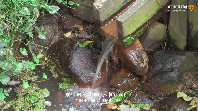 9. Полный комплекс астральных процедур 💦