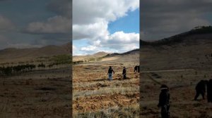 Видео с волонтерских посадок на Байкале