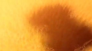 Очень смешной мултики😂😂🐱🐱