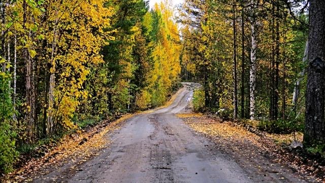 Осенние мотивы.