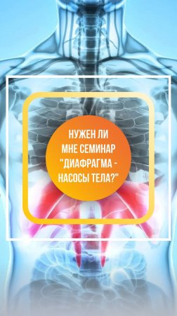 Будет ли семинар «Диафрагмы - насосы тела» полезен для меня?