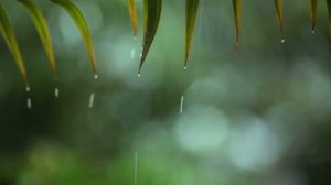 Расслабляющая музыка и звуки дождя - Красивая фортепианная музыка, Успокаивающая для Сна (3 часа)