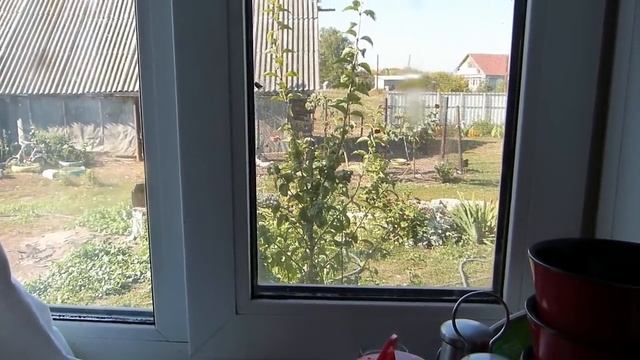 Сделал ей приятное с утра/Могли бы не оформлять но без них никак/Достали со своими бумажками смотреть онлайн