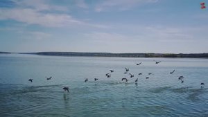 ОХОТНИЧЬИБУДНИ 2024 ВРОДЕ ЕСТЬ, А КАК БЫ И НЕТ