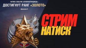 СТРИМ НАТИСК. ИГРАЮ В ОДИНОЧКУ. ПОДДЕРЖАТЬ СТРИМ #миртанков #wot