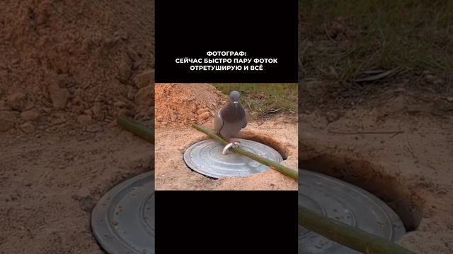 * ФОТОГРАФ: СЕЙЧАС БЫСТРО ПАРУ ФОТОК ОТРЕТУШИРУЮ И ВСЁ / 12 ЧАСОВ ЗА КОМПОМ /