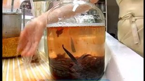Галилео. Пиявки Leeches