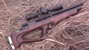 22 жёлудя