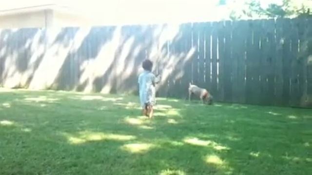 Mohamed Ali er Gumbo смотреть онлайн