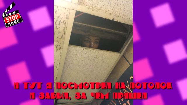 Необычные Манекены, которые сделают поход в Магазин Незабываемым