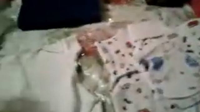 Сумка в роддом №3 Украина. Николаев смотреть онлайн