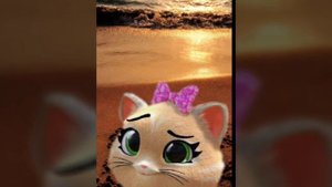 Как вам 44 Котёнка в реальной жизни