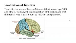 PSYC 3360 Chapter 1 part 6 Neuroscience, Localization of Function, Computer Metaphors
