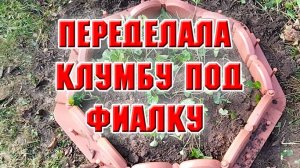 Переделала клумбу под фиалку