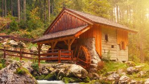 Fillings скрипка