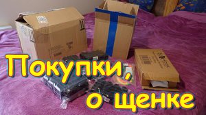 Обзор важных покупок для дома. Заводим щенка. (09.24г.) Семья Бровченко.