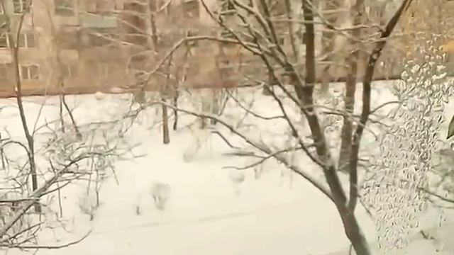 Доброе утречко!!! Роддом или камера пыток смотреть онлайн