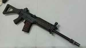 G&G SIG552 AEG