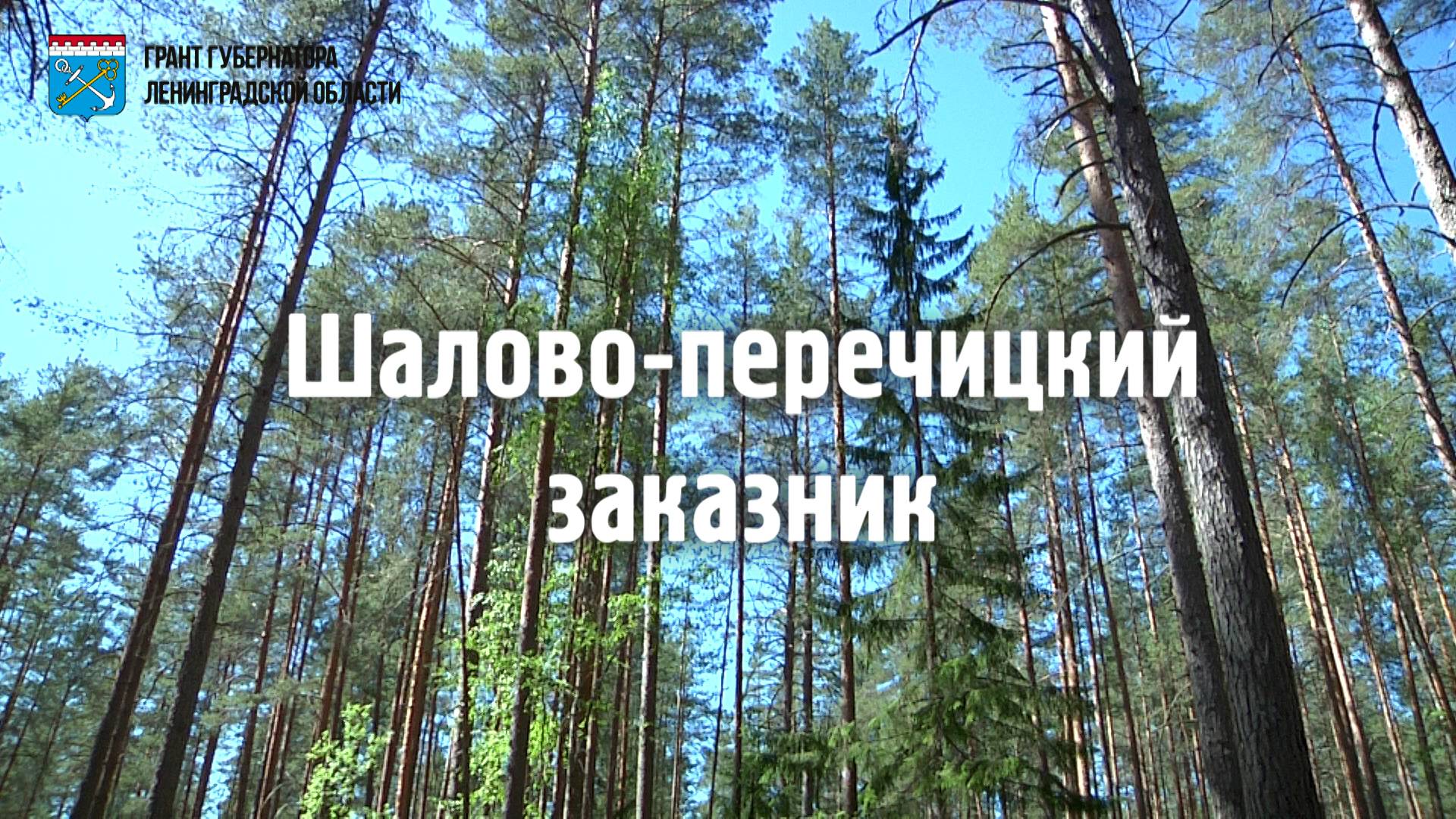 Шалово-Перечецкий заказник. Экотропа "Лесные дали". НКО Универсум.