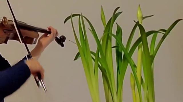 Conte Serieux (Ludw. Mendelssohn) смотреть онлайн