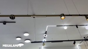 Denkirs Трековая Система SHINE