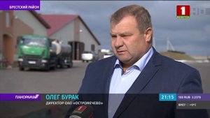 Как зарабатывают на молоке в хозяйстве Остромечево. Панорама