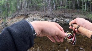 Прогулка по красивой речке в поисках дикой форели. СО1Л. Part 50