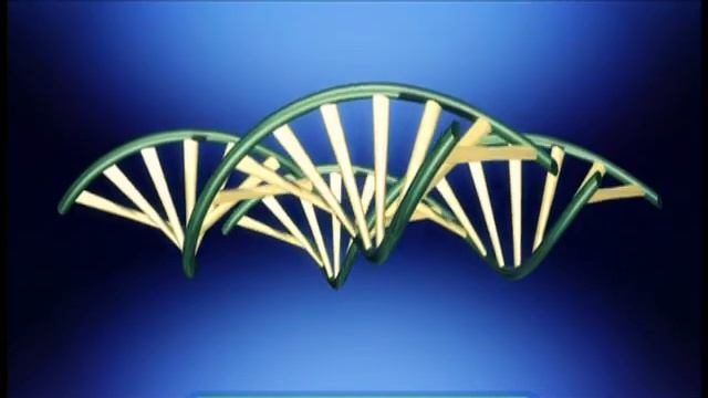 Галилео. Криминалистика 3. Биология и ДНК