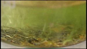 Галилео. Золото из компьютера