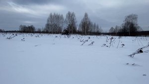 Буран по низу рынка, первый опыт владения снегоходом