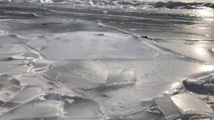 Abraham Lake - Frozen Bubbles 🇨🇦