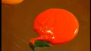 Галилео. Шоколадный портрет Chocolate portrait