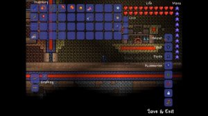 [Terraria] Bug Hunter [Cobalt Armor Set Bonus Bug]