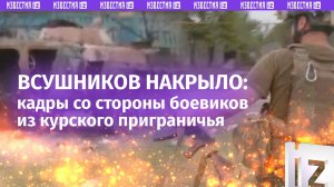 Боевиков жестко накрыло в Ольговке: «влог» из курского приграничья от «тик-ток» отрядов ВСУ