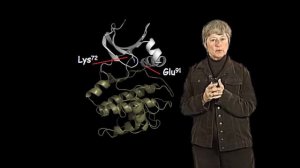 Susan Taylor (UCSD) Part 2: Architecture of a Protein Kinase