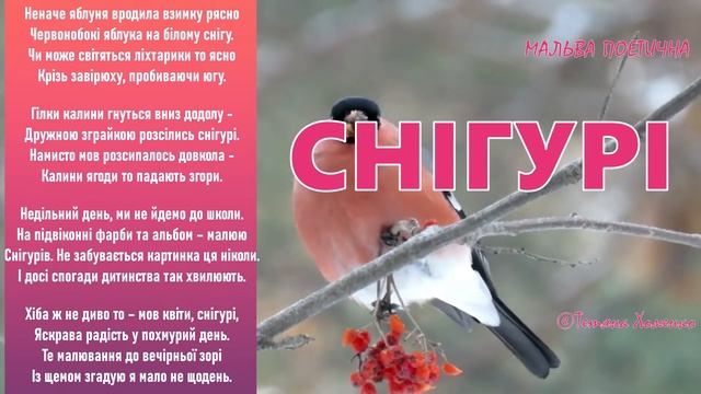 СнігуріТетяна Хоменко