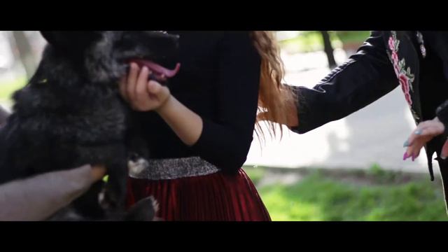 KATRIN FOX COLLECTION Foxes Time TIZER смотреть онлайн