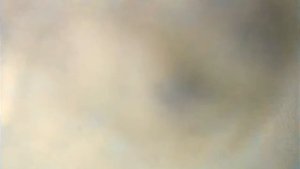 Галилео  Взбитые сливки