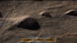 Галилео. Печник