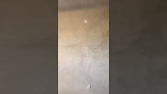 11510573