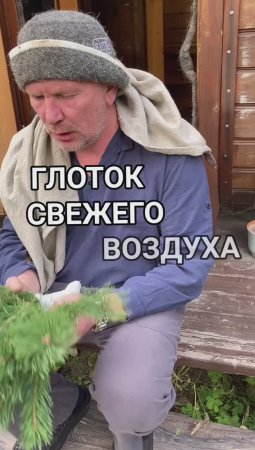 Сосновый банный веник