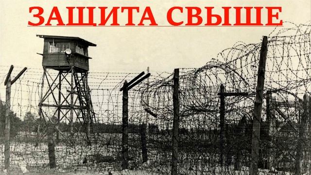 ЗАЩИТА СВЫШЕ.