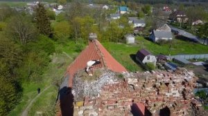 Аисты в Калининграде