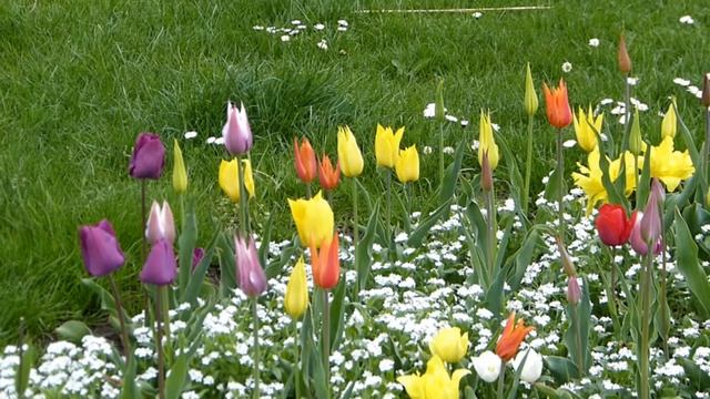 Весна – самое прекрасное и волшебное время года смотреть онлайн