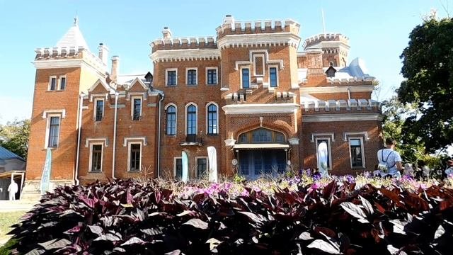 баш винтаж 2024